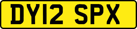 DY12SPX
