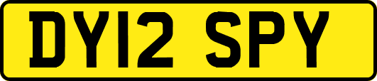DY12SPY
