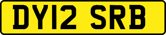 DY12SRB