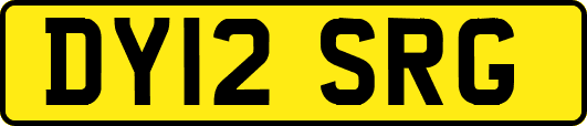 DY12SRG