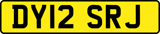 DY12SRJ