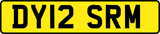 DY12SRM