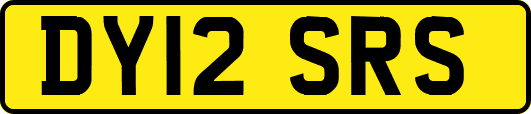 DY12SRS
