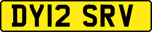 DY12SRV
