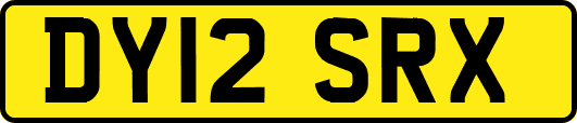 DY12SRX