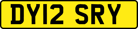 DY12SRY