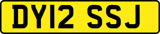 DY12SSJ