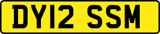 DY12SSM