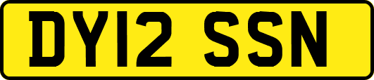 DY12SSN