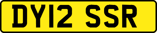 DY12SSR