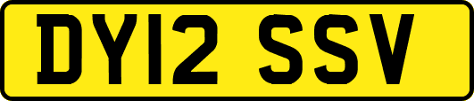DY12SSV