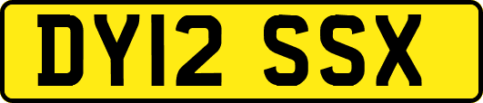 DY12SSX