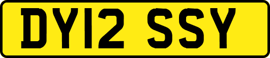 DY12SSY