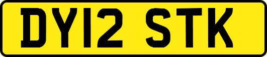 DY12STK
