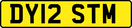 DY12STM