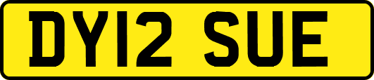 DY12SUE