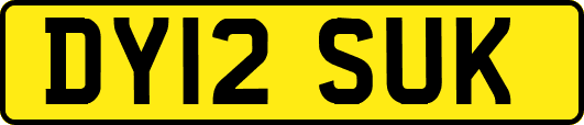 DY12SUK