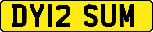 DY12SUM
