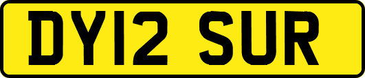 DY12SUR
