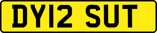 DY12SUT