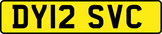DY12SVC