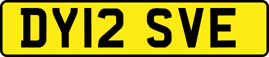 DY12SVE