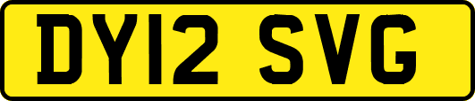 DY12SVG