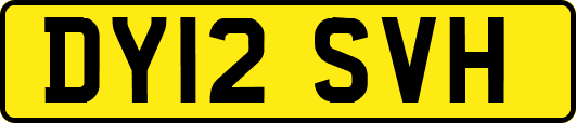 DY12SVH