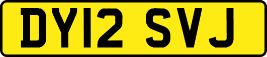 DY12SVJ
