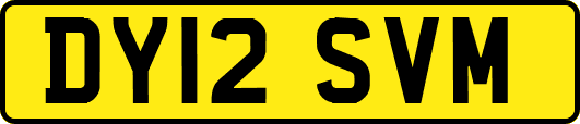 DY12SVM