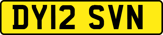 DY12SVN