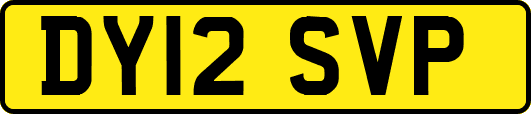 DY12SVP