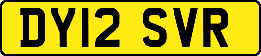DY12SVR