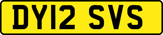 DY12SVS