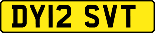 DY12SVT