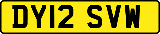 DY12SVW