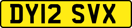DY12SVX