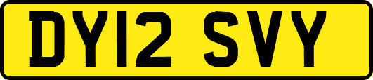 DY12SVY