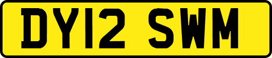 DY12SWM
