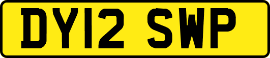 DY12SWP