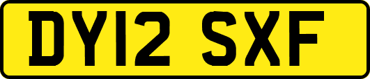 DY12SXF