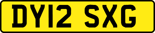 DY12SXG