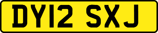 DY12SXJ
