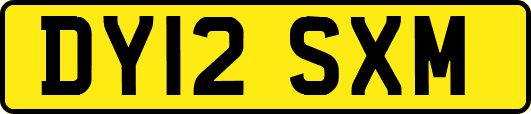 DY12SXM