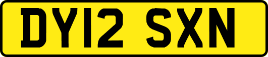 DY12SXN