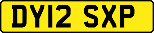 DY12SXP