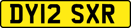 DY12SXR