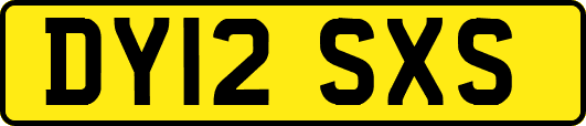 DY12SXS