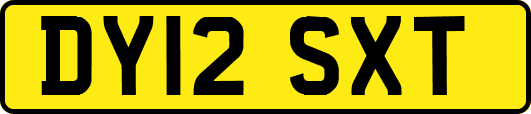 DY12SXT