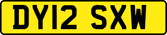 DY12SXW